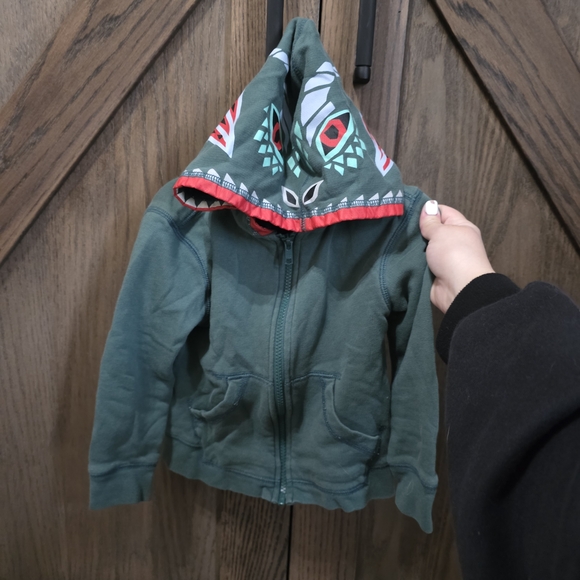 Tea Collection Other - Tea Collection Green Hoodie with Patterned Hood